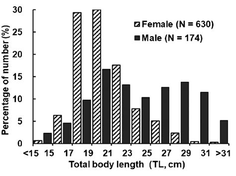 Frequency Of Size Classes Of Total Body Length Tl In Both Sexes Of Download Scientific