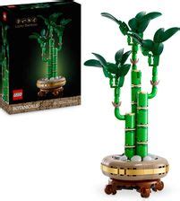 LEGO Botanicals 10343 Mała orchidea Ceny i opinie Ceneo pl