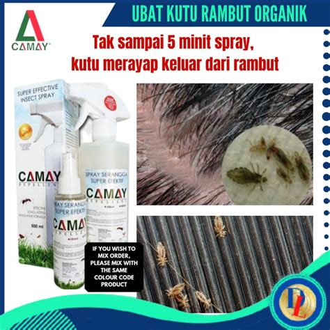 Lice Medicine Ubat Kutu Scalp Spray Camay Spray Hair Lice Repellent