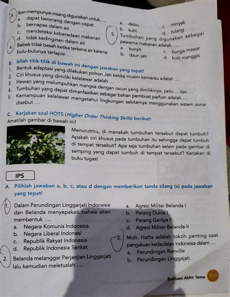 Tolong Di Bantu Ya Kaka Brainly Co Id