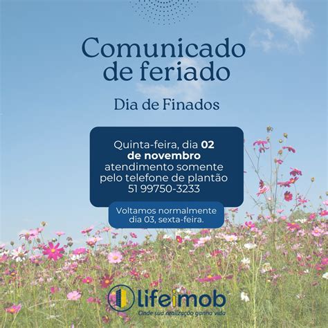 Feriado Do Dia 02 De Novembro - 9