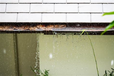 Closeup View On Rain Gutters Clogged With Leaves Sticks And Debris