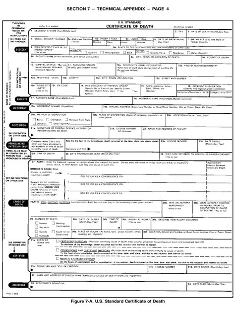 Death Certificate Form - 5 Free Templates in PDF, Word, Excel Download