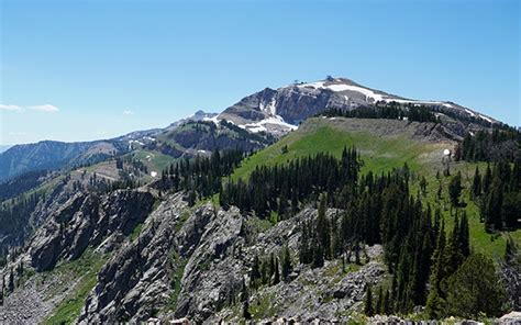 Top 5 Hikes In Jackson Hole Jackson Hole Mountain Resort