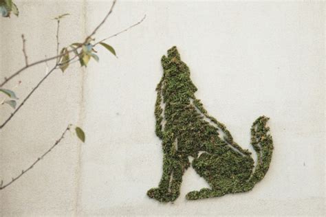 Moss Graffiti – Honestly WTF