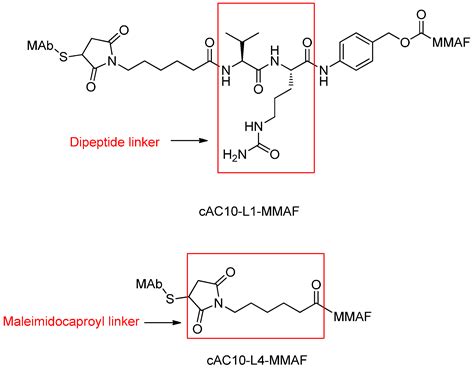 Ijms Free Full Text Linkers Having A Crucial Role In Antibodydrug