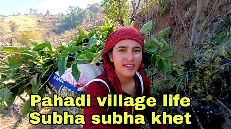 Subha Subha Khet Pahadi Village Life Daily Vlog Girl