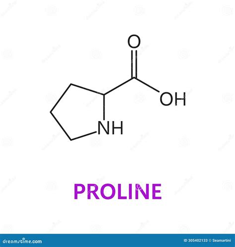 Amino Acid Proline Chemical Molecule Formula Stock Illustration