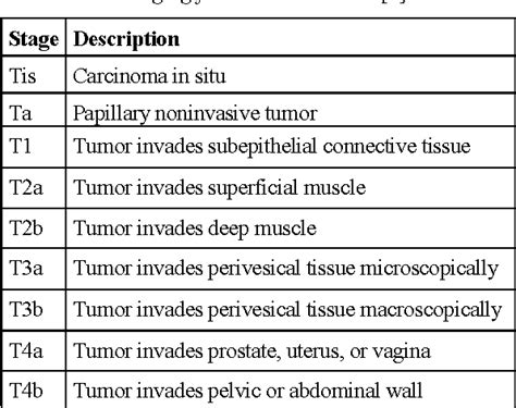 Bladder Cancer Staging