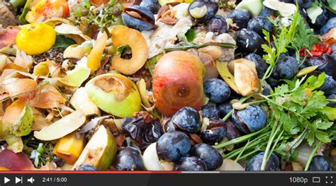 Video Zero Waste Video Series Preventing Food Waste Eco Cycle