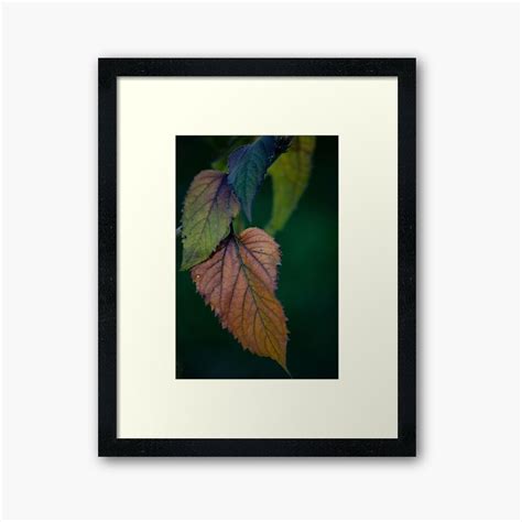 Autumn Framed Art Print By Jennifer Michalski Art Prints Framed Art