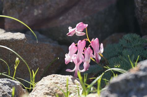 068