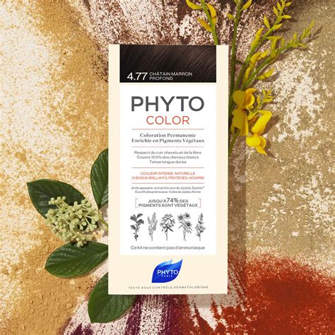 phyto hair color 3