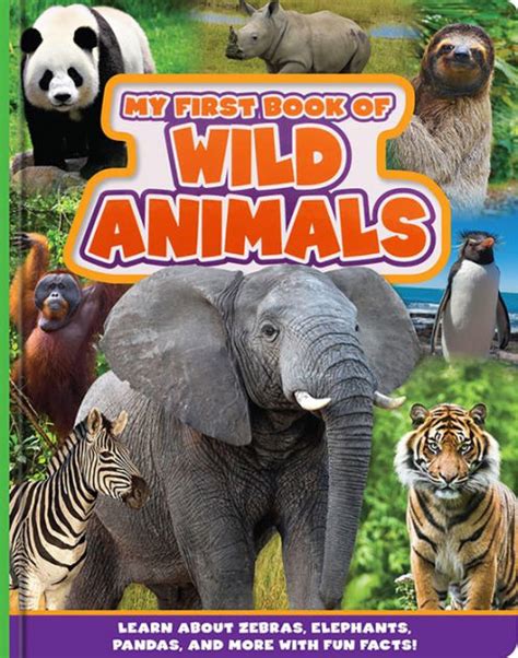 My First Book Of Wild Animals By Flying Frog Board Book Barnes And Noble®