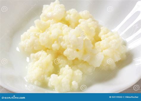 Milk Kefir Grains (Tibetan Mushroom) Stock Image - Image of milk ...