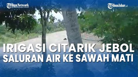 Irigasi Jebol Aliran Air Ke Perkampungan Dan Sawah Di Citarik Sukabumi