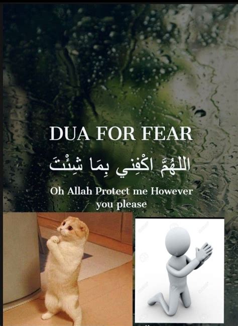 Dua of fear(islamic) | Fear, Oh allah, Dua