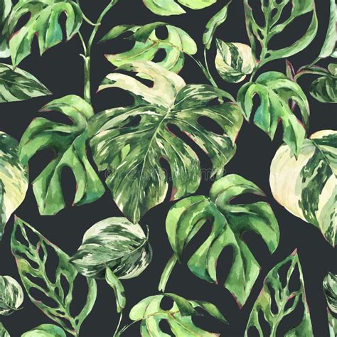 Watercolor Monstera Variegated Botanical Seamless Pattern Tropical