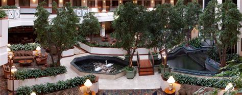 Embassy Suites Dallas - Near the Galleria, Dallas - Galleria - HotelTonight