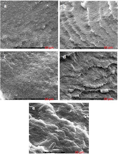 Sem Micrographs Of Cryo Fractured Surfaces Of A Pla B Pla Pbs