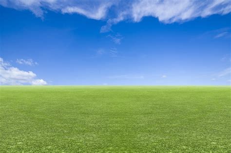 Campo De Pradera Con Un Fondo De Cielo Azul Foto Premium