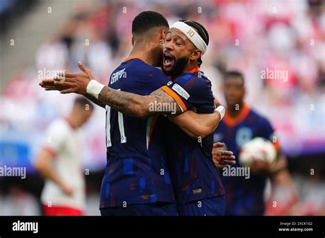 Hamburg Germany Th June Cody Gakpo Of Netherlands Celebrates