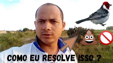 PÁSSARO não faz cocô O QUE FAZER como eu resolvo YouTube