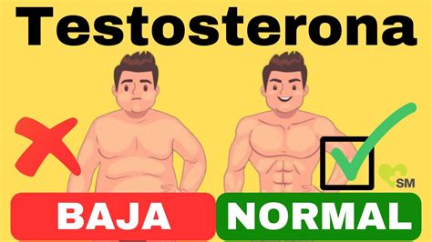 ¡alerta 4 Signos De Testosterona Baja ¿sufres De Estos Síntomas 🧠🩺