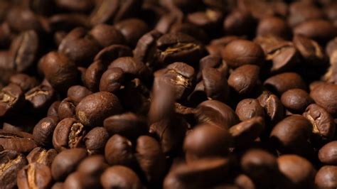 Slow Motion Of Roasted Coffee Beans Falling Organic Coffee Seeds