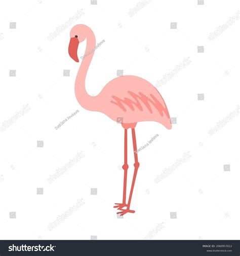 Standing Pink Flamingo Bird Cartoon Vector Stock Vector (Royalty Free ...