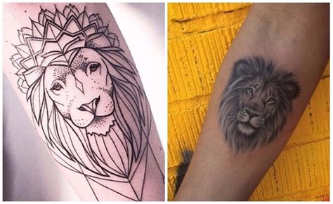 Significado De Tatuajes De Leones Kulturaupice