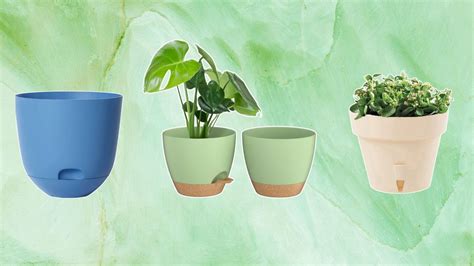 The best self-watering planters under $20 | Real Homes