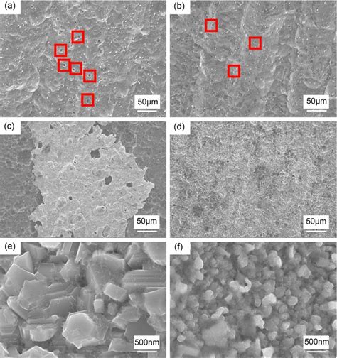 Surface Morphologies Of Al Alloy In M Naoh Solution Without And With