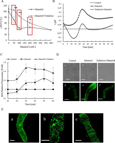 Alleviating Effect Of Exogenous Trehalose On Watermelon Cells Under