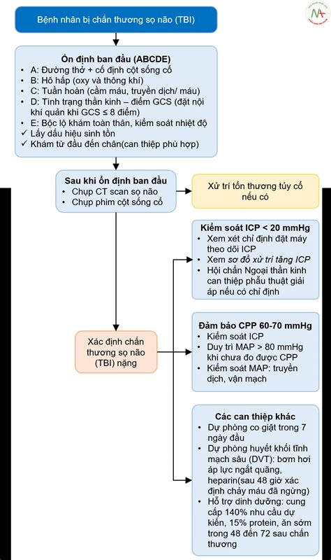 Hướng Dẫn Xử Trí Chấn Thương Sọ Não Tbi Và Tăng áp Lực Nội Sọ Icp