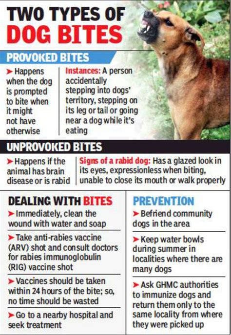 What Are The Symptoms Of A Dog Bite Infection