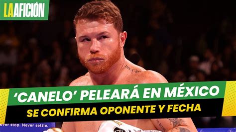 Sa L Canelo Lvarez Regresa A M Xico Para Su Primer Pelea Del A O Ya