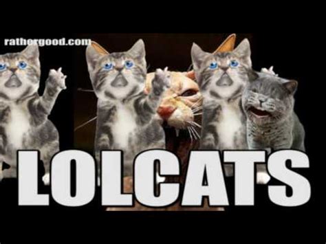 Lolcats song | LOLcats | Know Your Meme