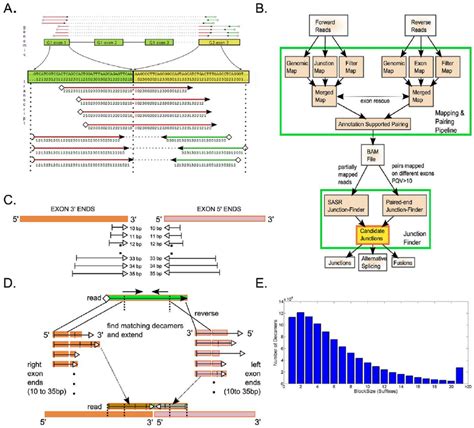 Rna Seq Mapping And Splice Junction Detection Methodology A Four