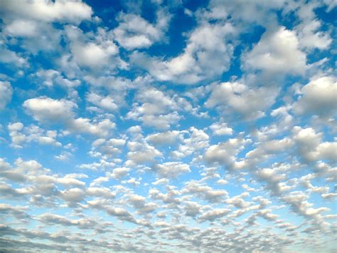 Moon Cloud Dance Photograph By Lindy Pollard Fine Art America