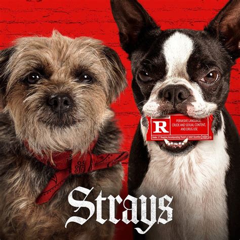 Strays [2023] - IGN