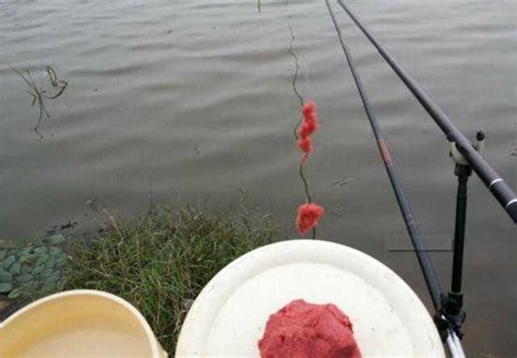 釣鯉魚用拉餌，這裏搭配狀態相當好！ 每日頭條