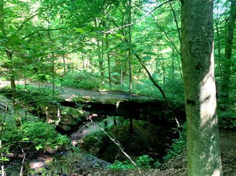 Rockbridge State Nature Preserve - Hocking Hills, Ohio