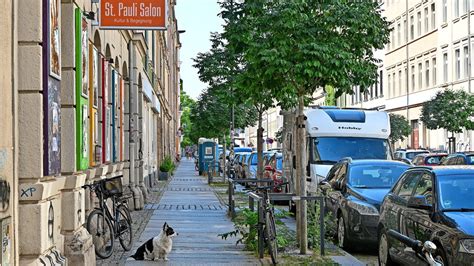 Mehr Straßenbäume für Dresden warum es nur schleppend vorangeht