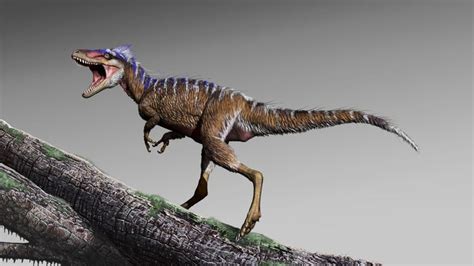 Meet This Tiny Ancestor Of The Fearsome T Rex Paleontology World