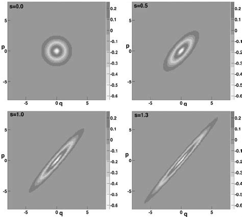 Contour Plots Of The Wigner Functions Of The Squeezed Fock States