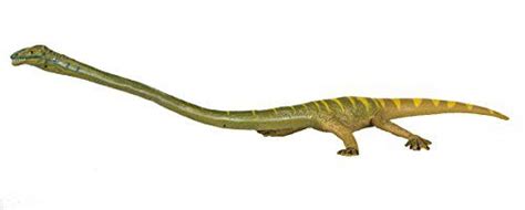 Safari Ltd Carnegie Dinosaurs Tanystropheus Toy Figure Buy Safari Ltd