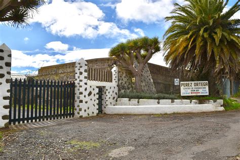 Los Rodeos Airport 7