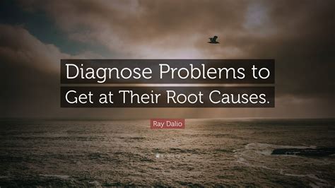 Ray Dalio Quote Diagnose Problems To Get At Their Root Causes