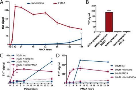 Anti amyloid Compounds Inhibit α Synuclein Aggregation Induced by